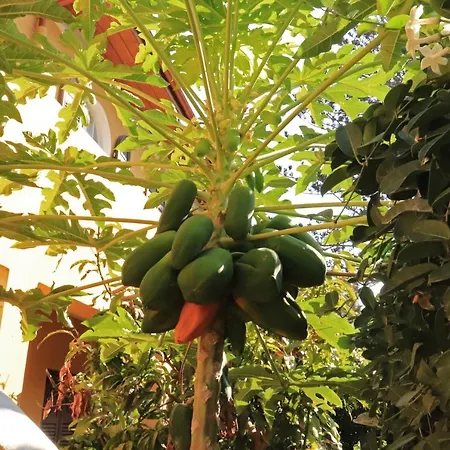 Romantic With Stunning Sea View Rhodes City