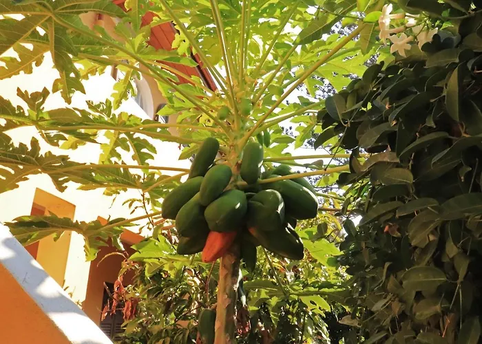 Romantic With Stunning Sea View Rhodes City